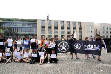 Protest für die Abschaffung der Pferdekutschen in Berlin