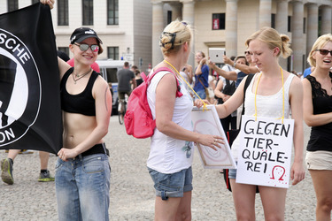 Protest für die Abschaffung der Pferdekutschen in Berlin