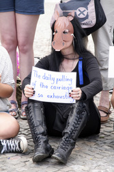 Protest für die Abschaffung der Pferdekutschen in Berlin
