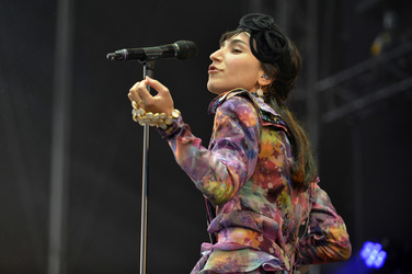 Bravalla Festival 2014, Norrköping