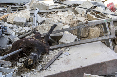 Shijaiyah im Gazastreifen