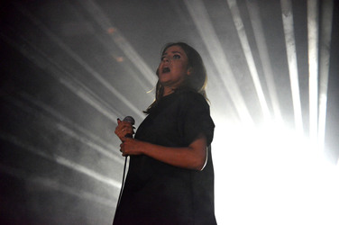 Melt! Festival 2014, Gräfenhainichen
