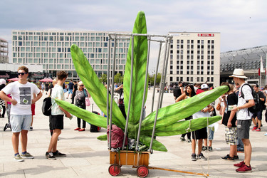Hanfparade 2014, Berlin