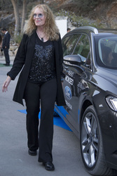 Starlite Gala 2014, Marbella