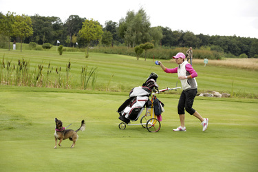7. GRK Golf Charity Masters, Leipzig