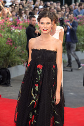 'Birdman' Premiere, Biennale 2014