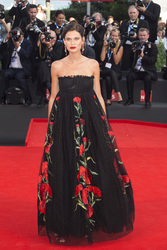 'Birdman' Premiere, Biennale 2014