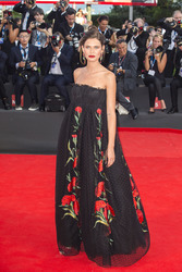 'Birdman' Premiere, Biennale 2014