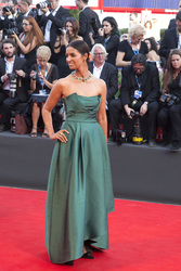 'Birdman' Premiere, Biennale 2014