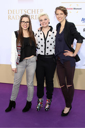 Deutscher Radiopreis 2014, Hamburg