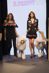 H. Preppy Fashion Show, Madrid