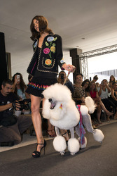 H. Preppy Fashion Show, Madrid