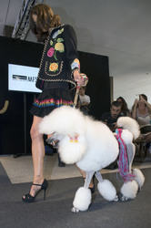 H. Preppy Fashion Show, Madrid
