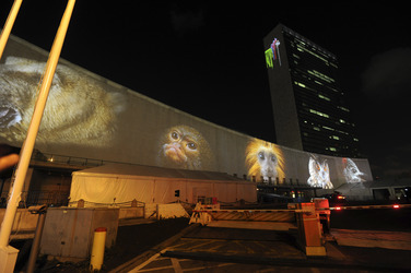 Global Climate Summit Projektion am UN Hauptquartier, New York