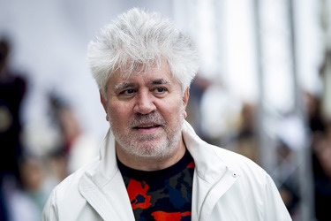 Ankunft von Pedro Almodóvar auf dem San Sebastian Film Festival 2014