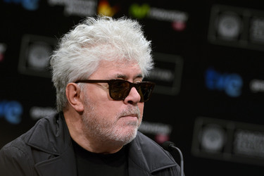 'Relatos salvajes' Press Conference, San Sebastian Film Festival 2014