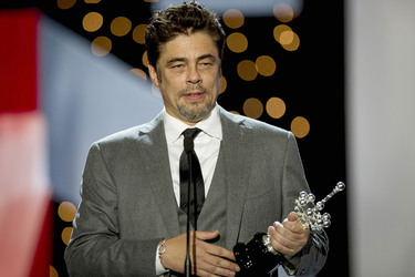 Donostia Award für Benicio Del Toro, San Sebastian Film Festival 2014