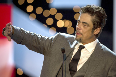 Donostia Award für Benicio Del Toro, San Sebastian Film Festival 2014