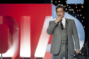 Donostia Award für Benicio Del Toro, San Sebastian Film Festival 2014