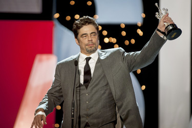 Donostia Award für Benicio Del Toro, San Sebastian Film Festival 2014