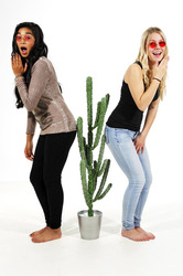 SOLnap Covermodels Sina und Sina, Hameln