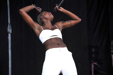 Austin City Limits Festival 2014