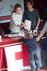 Red Cross Fundraising Day, Madrid