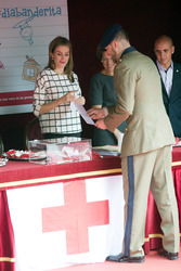 Red Cross Fundraising Day, Madrid