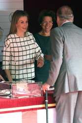 Red Cross Fundraising Day, Madrid