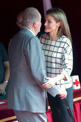 Red Cross Fundraising Day, Madrid
