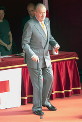 Red Cross Fundraising Day, Madrid