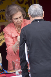 Red Cross Fundraising Day, Madrid