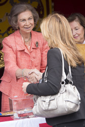 Red Cross Fundraising Day, Madrid