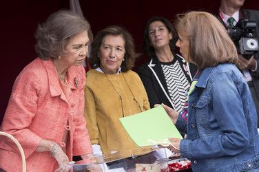 Red Cross Fundraising Day, Madrid