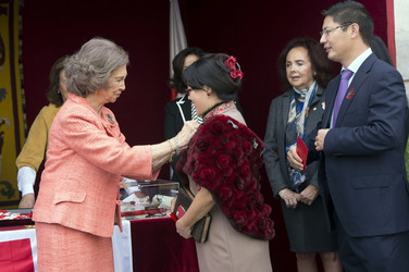 Red Cross Fundraising Day, Madrid