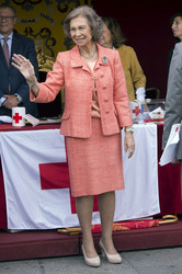 Red Cross Fundraising Day, Madrid