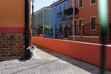 Sightseeing Burano