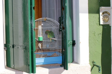 Sightseeing Burano