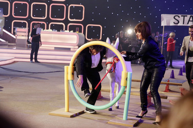 TV Show '20 Jahre Feste - Florian Silbereisen feiert', Riesa