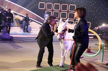 TV Show '20 Jahre Feste - Florian Silbereisen feiert', Riesa