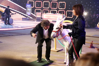 TV Show '20 Jahre Feste - Florian Silbereisen feiert', Riesa