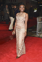 'The Keeping Room' Premiere, BFI London Film Festival 2014