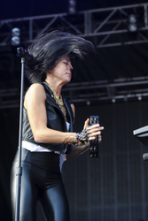 Austin City Limits Festival 2014