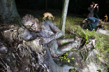 WORKING ART: In the Forest