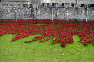 Poppy Installation am Tower, London