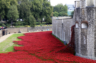 Poppy Installation am Tower, London