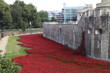 Poppy Installation am Tower, London