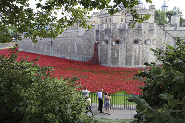 Poppy Installation am Tower, London