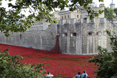 Poppy Installation am Tower, London