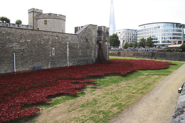 Poppy Installation am Tower, London